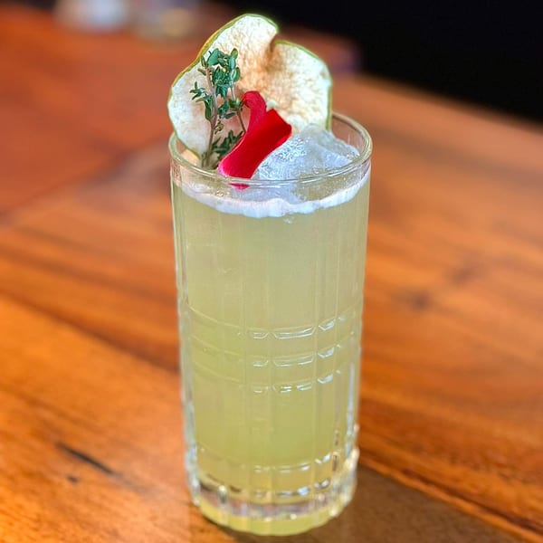 A tall glass of light green cocktail with ice, garnished with dried apple, thyme, and a red petal.